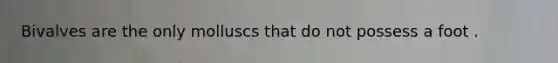 Bivalves are the only molluscs that do not possess a foot .