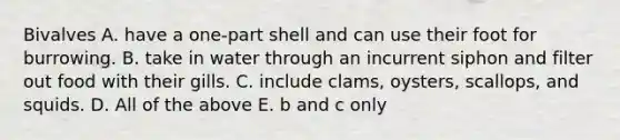 Bivalves A. have a one-part shell and can use their foot for burrowing. B. take in water through an incurrent siphon and filter out food with their gills. C. include clams, oysters, scallops, and squids. D. All of the above E. b and c only