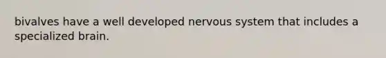 bivalves have a well developed nervous system that includes a specialized brain.