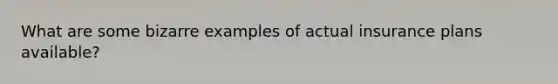 What are some bizarre examples of actual insurance plans available?