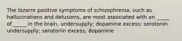 The bizarre positive symptoms of schizophrenia, such as hallucinations and delusions, are most associated with an _____ of _____ in the brain. undersupply; dopamine excess; serotonin undersupply; serotonin excess; dopamine