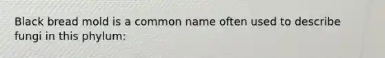 Black bread mold is a common name often used to describe fungi in this phylum: