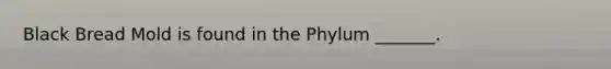 Black Bread Mold is found in the Phylum _______.