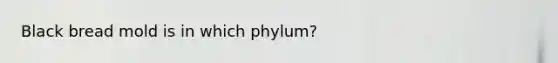 Black bread mold is in which phylum?