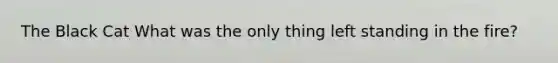 The Black Cat What was the only thing left standing in the fire?