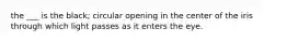 the ___ is the black; circular opening in the center of the iris through which light passes as it enters the eye.