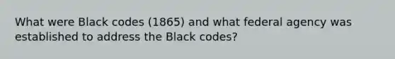 What were Black codes (1865) and what federal agency was established to address the Black codes?