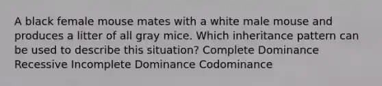 A black female mouse mates with a white male mouse and produces a litter of all gray mice. Which inheritance pattern can be used to describe this situation? Complete Dominance Recessive Incomplete Dominance Codominance