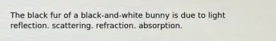 The black fur of a black-and-white bunny is due to light reflection. scattering. refraction. absorption.