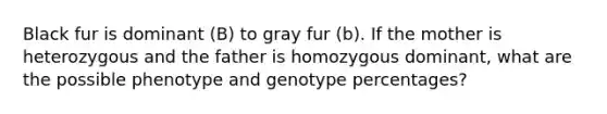 Black fur is dominant (B) to gray fur (b). If the mother is heterozygous and the father is homozygous dominant, what are the possible phenotype and genotype percentages?