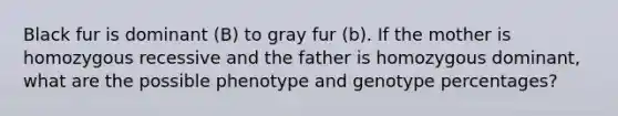 Black fur is dominant (B) to gray fur (b). If the mother is homozygous recessive and the father is homozygous dominant, what are the possible phenotype and genotype percentages?