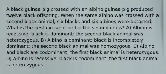 A black guinea pig crossed with an albino guinea pig produced twelve black offspring. When the same albino was crossed with a second black animal, six blacks and six albinos were obtained. What is the best explanation for the second cross? A) Albino is recessive; black is dominant; the second black animal was heterozygous. B) Albino is dominant; black is incompletely dominant; the second black animal was homozygous. C) Albino and black are codominant; the first black animal is heterozygous. D) Albino is recessive; black is codominant; the first black animal is heterozygous