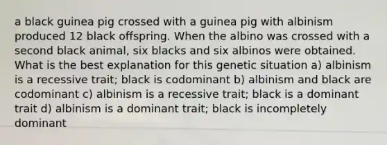 a black guinea pig crossed with a guinea pig with albinism produced 12 black offspring. When the albino was crossed with a second black animal, six blacks and six albinos were obtained. What is the best explanation for this genetic situation a) albinism is a recessive trait; black is codominant b) albinism and black are codominant c) albinism is a recessive trait; black is a dominant trait d) albinism is a dominant trait; black is incompletely dominant