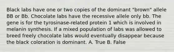 Black labs have one or two copies of the dominant "brown" allele BB or Bb. Chocolate labs have the recessive allele only bb. The gene is for the tyrosinase-related protein 1 which is involved in melanin synthesis. If a mixed population of labs was allowed to breed freely chocolate labs would eventually disappear because the black coloration is dominant. A. True B. False