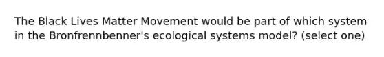 The Black Lives Matter Movement would be part of which system in the Bronfrennbenner's ecological systems model? (select one)