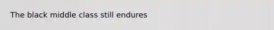 The black middle class still endures