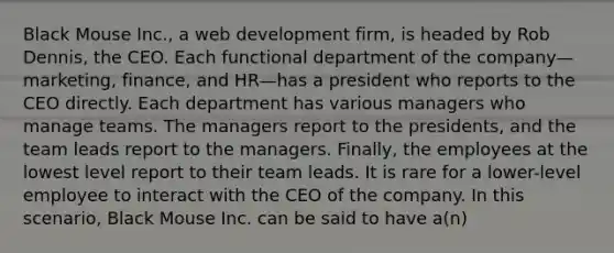 Black Mouse Inc., a web development firm, is headed by Rob Dennis, the CEO. Each functional department of the company—marketing, finance, and HR—has a president who reports to the CEO directly. Each department has various managers who manage teams. The managers report to the presidents, and the team leads report to the managers. Finally, the employees at the lowest level report to their team leads. It is rare for a lower-level employee to interact with the CEO of the company. In this scenario, Black Mouse Inc. can be said to have a(n)