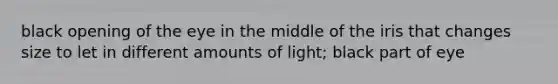 black opening of the eye in the middle of the iris that changes size to let in different amounts of light; black part of eye