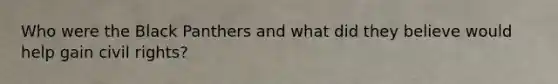 Who were the Black Panthers and what did they believe would help gain civil rights?