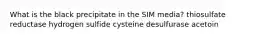 What is the black precipitate in the SIM media? thiosulfate reductase hydrogen sulfide cysteine desulfurase acetoin