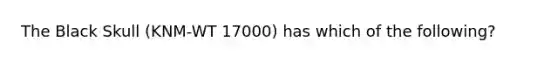 The Black Skull (KNM-WT 17000) has which of the following?