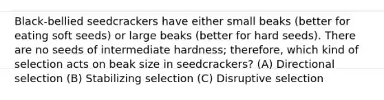 Black-bellied seedcrackers have either small beaks (better for eating soft seeds) or large beaks (better for hard seeds). There are no seeds of intermediate hardness; therefore, which kind of selection acts on beak size in seedcrackers? (A) Directional selection (B) Stabilizing selection (C) Disruptive selection