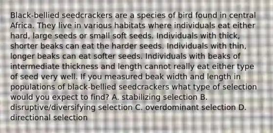 Black-bellied seedcrackers are a species of bird found in central Africa. They live in various habitats where individuals eat either hard, large seeds or small soft seeds. Individuals with thick, shorter beaks can eat the harder seeds. Individuals with thin, longer beaks can eat softer seeds. Individuals with beaks of intermediate thickness and length cannot really eat either type of seed very well. If you measured beak width and length in populations of black-bellied seedcrackers what type of selection would you expect to find? A. stabilizing selection B. disruptive/diversifying selection C. overdominant selection D. directional selection