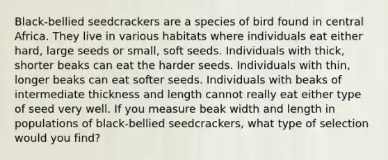 Black-bellied seedcrackers are a species of bird found in central Africa. They live in various habitats where individuals eat either hard, large seeds or small, soft seeds. Individuals with thick, shorter beaks can eat the harder seeds. Individuals with thin, longer beaks can eat softer seeds. Individuals with beaks of intermediate thickness and length cannot really eat either type of seed very well. If you measure beak width and length in populations of black-bellied seedcrackers, what type of selection would you find?