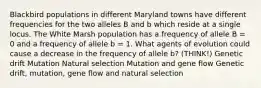 Blackbird populations in different Maryland towns have different frequencies for the two alleles B and b which reside at a single locus. The White Marsh population has a frequency of allele B = 0 and a frequency of allele b = 1. What agents of evolution could cause a decrease in the frequency of allele b? (THINK!) Genetic drift Mutation Natural selection Mutation and gene flow Genetic drift, mutation, gene flow and natural selection