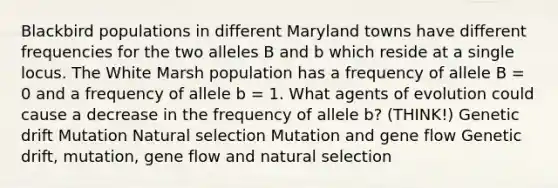 Blackbird populations in different Maryland towns have different frequencies for the two alleles B and b which reside at a single locus. The White Marsh population has a frequency of allele B = 0 and a frequency of allele b = 1. What agents of evolution could cause a decrease in the frequency of allele b? (THINK!) Genetic drift Mutation Natural selection Mutation and gene flow Genetic drift, mutation, gene flow and natural selection