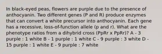 In black-eyed peas, flowers are purple due to the presence of anthocyanin. Two different genes (P and R) produce enzymes that can convert a white precursor into anthocyanin. Each gene has a recessive, loss-of-function allele (p and r). What are the phenotype ratios from a dihybrid cross (PpRr x PpRr)? A - 3 purple : 1 white B - 1 purple : 1 white C - 9 purple : 3 white D - 15 purple : 1 white E - 9 purple : 7 white