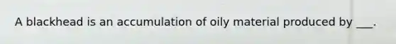 A blackhead is an accumulation of oily material produced by ___.