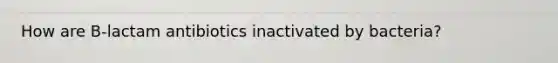 How are B-lactam antibiotics inactivated by bacteria?