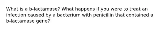 What is a b-lactamase? What happens if you were to treat an infection caused by a bacterium with penicillin that contained a b-lactamase gene?