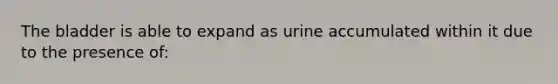 The bladder is able to expand as urine accumulated within it due to the presence of: