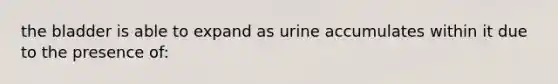 the bladder is able to expand as urine accumulates within it due to the presence of: