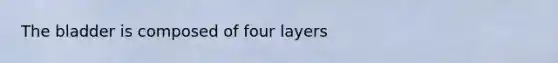 The bladder is composed of four layers