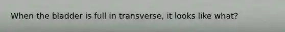 When the bladder is full in transverse, it looks like what?