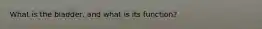 What is the bladder, and what is its function?