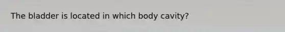 The bladder is located in which body cavity?