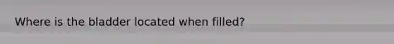 Where is the bladder located when filled?