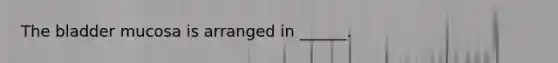 The bladder mucosa is arranged in ______.