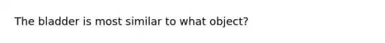 The bladder is most similar to what object?