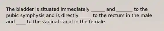 The bladder is situated immediately ______ and _______ to the pubic symphysis and is directly _____ to the rectum in the male and ____ to the vaginal canal in the female.