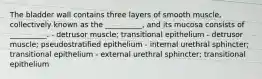 The bladder wall contains three layers of smooth muscle, collectively known as the __________, and its mucosa consists of __________. - detrusor muscle; transitional epithelium - detrusor muscle; pseudostratified epithelium - internal urethral sphincter; transitional epithelium - external urethral sphincter; transitional epithelium