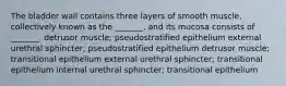 The bladder wall contains three layers of smooth muscle, collectively known as the _______, and its mucosa consists of _______. detrusor muscle; pseudostratified epithelium external urethral sphincter; pseudostratified epithelium detrusor muscle; transitional epithelium external urethral sphincter; transitional epithelium internal urethral sphincter; transitional epithelium