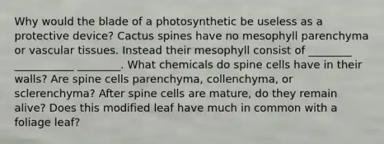 Why would the blade of a photosynthetic be useless as a protective device? Cactus spines have no mesophyll parenchyma or vascular tissues. Instead their mesophyll consist of ________ ___________ ________. What chemicals do spine cells have in their walls? Are spine cells parenchyma, collenchyma, or sclerenchyma? After spine cells are mature, do they remain alive? Does this modified leaf have much in common with a foliage leaf?