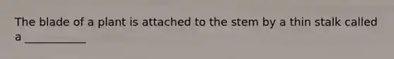 The blade of a plant is attached to the stem by a thin stalk called a ___________