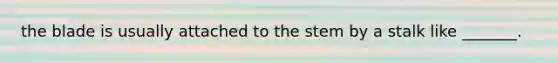 the blade is usually attached to the stem by a stalk like _______.