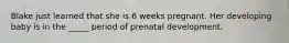 Blake just learned that she is 6 weeks pregnant. Her developing baby is in the _____ period of prenatal development.